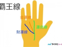 書いてもOK。「億万長者になれる手相」とは