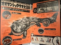 オオサンショウウオの展示パネル（画像は、すべて京都水族館提供）