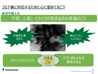 ピースマインド株式会社のプレスリリース画像