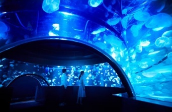 クラゲのトンネルのような水槽も（画像は京都水族館公式サイトより）