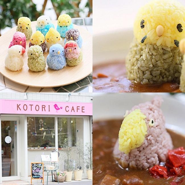 見つめてくる...