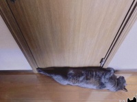 足がピーン！（写真はAKRさんのツイートより）