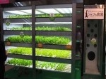 やはり日本はすごかった…　世界の珍しい自動販売機８選