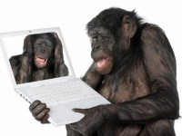 「Thinkstock」より