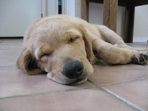 tired