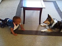 楽しいね！楽しいね！犬のベビーシッターと大喜びで遊ぶ赤ちゃんの笑い声がはじける動画