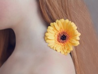 【花言葉】「愛」にまつわる花