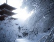「これが京都の本気の雪景色」　神秘的な光が照らす白い世界と五重塔...幻想絶景に1.3万人感嘆