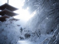 「これが京都の本気の雪景色」　神秘的な光が照らす白い世界と五重塔...幻想絶景に1.3万人感嘆