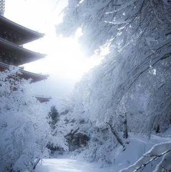 「これが京都の本気の雪景色」　神秘的な光が照らす白い世界と五重塔...幻想絶景に1.3万人感嘆