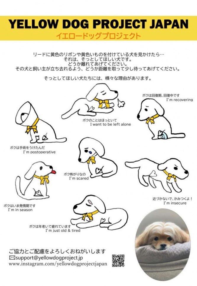 同プロジェクトが無償配布しているポスター（画像はREGOLITH公式サイトより）