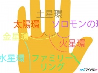 カリスマ性のある人が持つ「ソロモンの環」とは