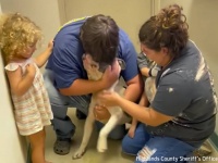 行方不明の犬が10か月ぶりに家族と再会するも、何者かによって虐げられていた痕跡