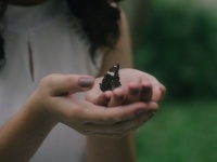 【幸運の前兆？】なぜか蝶が寄ってくる人のスピリチュアルサイン6つ