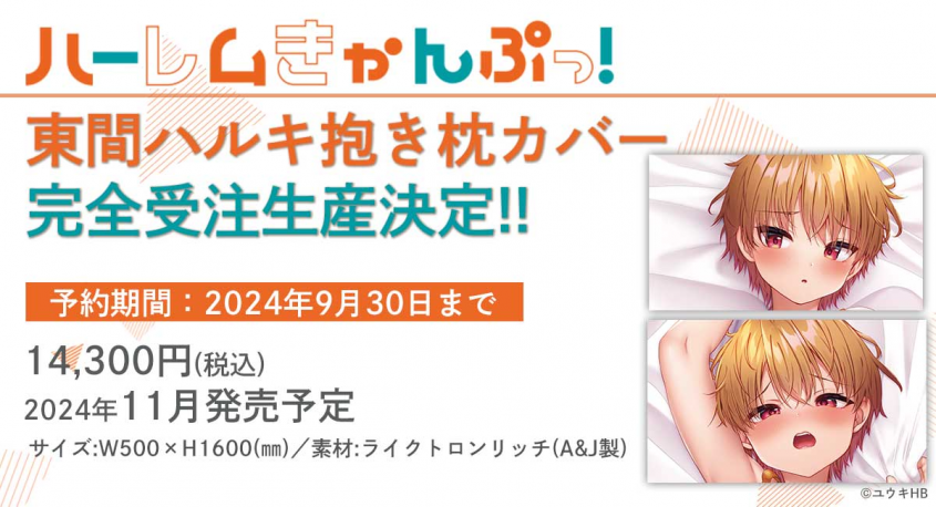 株式会社彗星社のプレスリリース画像