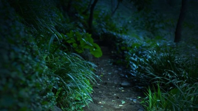 肝試しの夜に（画像はphotoACより、イメージ）