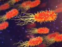薬が効かない耐性細菌。ゲノムを変化させるだけでなく、変形して抗生物質の目をくらましていたことが明らかに(英研究)