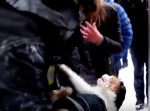 火災現場から救出された猫が心肺停止… 小さな命を救うべく奮闘する消防士たち。