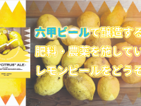 有限会社アイエヌインターナショナルのプレスリリース画像