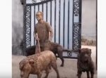 どこを通ったらそんなに汚れるの！？笑　壮絶すぎた散歩後の犬たちとご主人。