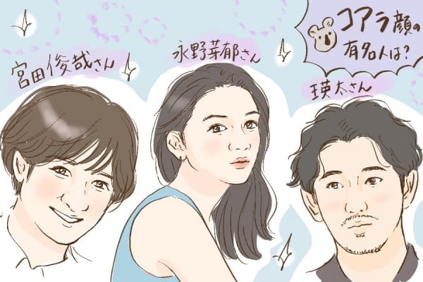 鼻が特徴的。コアラ顔の特徴6つ