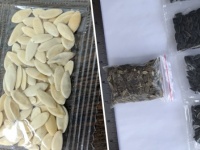 中国から届く「謎の種」の14種が、アメリカで特定される。キャベツ、アサガオ、バラなど...