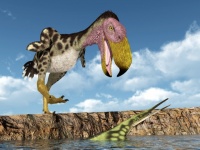 翼を広げると7メートルもある巨鳥から巨大ペンギンまで、かつて実在した10種の怪鳥たち