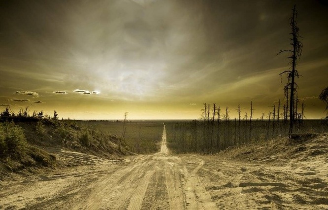 やはり6度目の大量絶滅は始まっているようだ。特に島と淡水で進行している