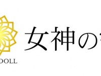 株式会社CAMELLIA.NETのプレスリリース画像