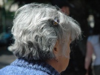 老化速度は人によってこんなに違った！「同級生なのに最大33歳差」―研究結果