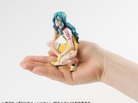 手のひらで、巻ちゃん休憩中。