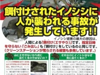 「餌付けされたイノシシに人が襲われる事故が発生しています！！」チラシPDFより