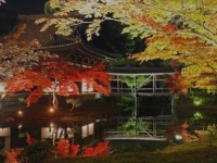 京都フラワーツーリズムのプレスリリース画像