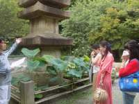涙と旅カフェ　あかねのプレスリリース画像