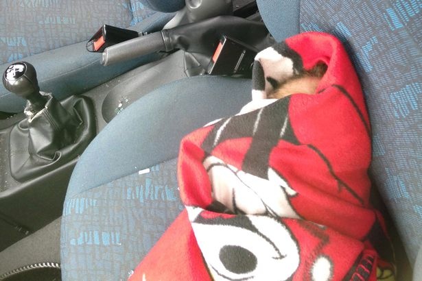 赤ちゃんが車内に放置