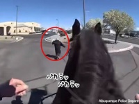 馬の脚力からは逃れられない。万引き犯が騎馬警官に追いかけられ逮捕される