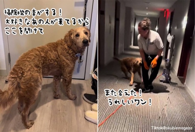 掃除機の音が聞こえると尻尾ぎゅんぎゅんが止まらない!清掃員女性と唯一無二の絆を結んだ犬