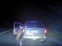 車にぶつけられたシカがドライバーに復讐！？　車内に押し入る動画が話題に