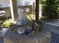 うさぎ手水舎（photoACより）