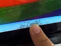 テレビのモニター内に大量のアリ！観察キットの状態になっていた件（アリ大量出演中）