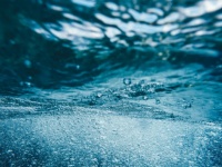 ヒ素を使って呼吸する生命体が太平洋で発見される（米研究）