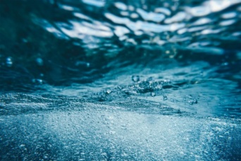 ヒ素を使って呼吸する生命体が太平洋で発見される（米研究）