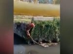 運河に落下してしまったワンちゃんを男性が無事救出！