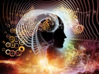 臨死体験は単なる幻覚なのか？科学者が予想する死後に起こること