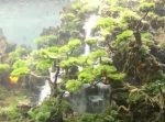 まるで本物のジャングルのよう！　水槽の中に広がる世界が芸術的。