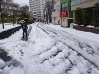 雪の東京。2014年2月15日撮影（Twang_Dungaさん撮影、Flickrより）