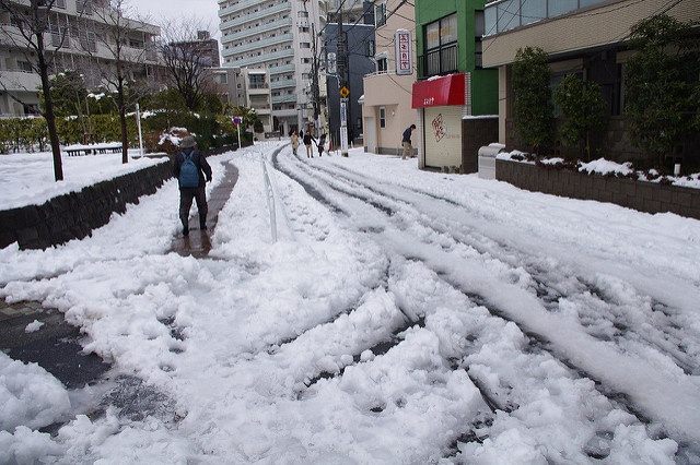 雪の東京。2014年2月15日撮影（Twang_Dungaさん撮影、Flickrより）