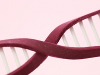 大沢樹生　「親子関係は存在しない」との判決