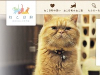 画像は「ねこ日和」のホームページより