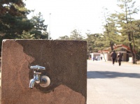 水道の蛇口。写真はイメージです（akaitoriさん撮影、Flickrより）